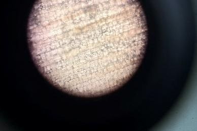 Kombinirane prirodne nauke Biologija - praktična nastava 4